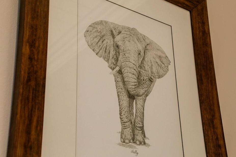 Knysna Elephant Park Lodge Плеттенберг-Бей Экстерьер фото