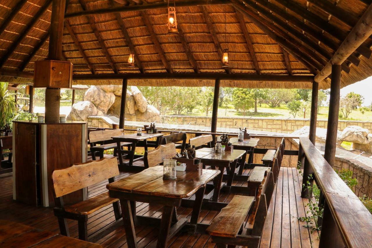 Knysna Elephant Park Lodge Плеттенберг-Бей Экстерьер фото